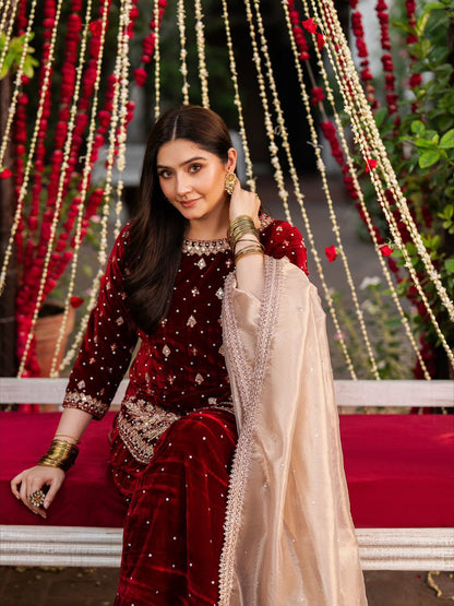 Gulnaar Velvet Suit